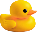 image-duck